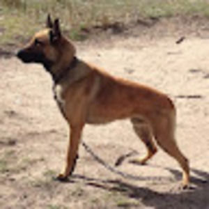 Meet your Posher, Maureen